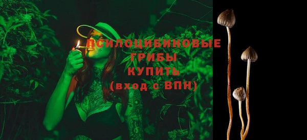 ГАЛЛЮЦИНОГЕННЫЕ ГРИБЫ Одинцово