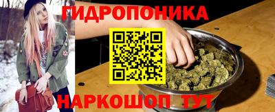 прущие грибы Апшеронск