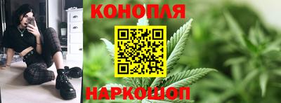 прущие грибы Апшеронск