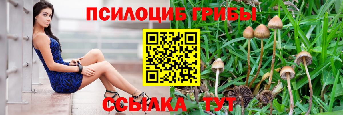 Галлюциногенные грибы мухоморы Большой Камень