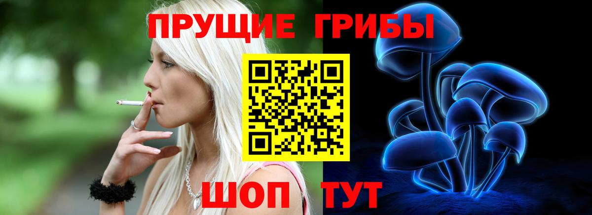 Псилоцибиновые грибы GOLDEN TEACHER  Вход с VPN  Большой Камень 