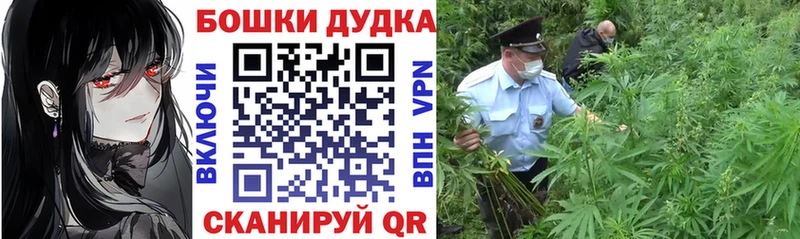 Марихуана White Widow  mega как войти  Большой Камень  продажа наркотиков 